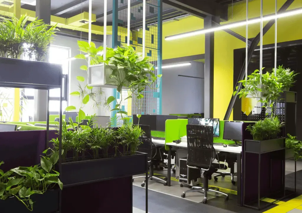 Office interior painted by a Commercial Interior Painter